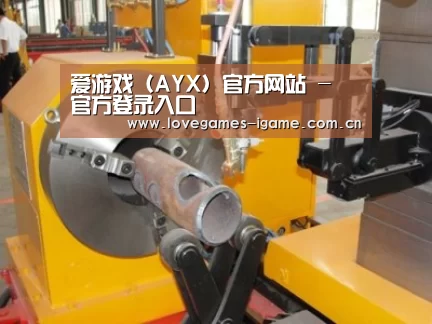 产品名称十三