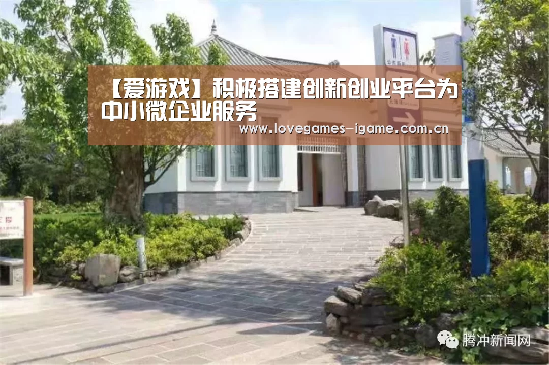 【爱游戏】积极搭建创新创业平台为中小微企业服务(图4) 爱游戏