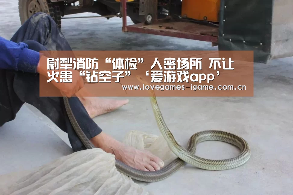 爱游戏app